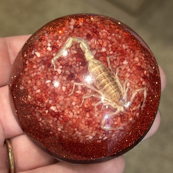 Scorpion Paperweight Acrylic Red Speckled Dome Taxidermy Unique Décor - Picture 1 of 8